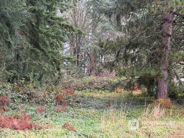 0 Bonanza Way Bellingham, WA 98229 - Photo 6 of 14 a view of lake with a tree
