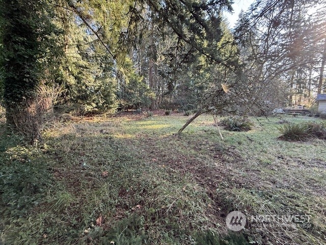 0 Bonanza Way Bellingham, WA 98229 - Photo 7 of 14 a view of a yard with a tree