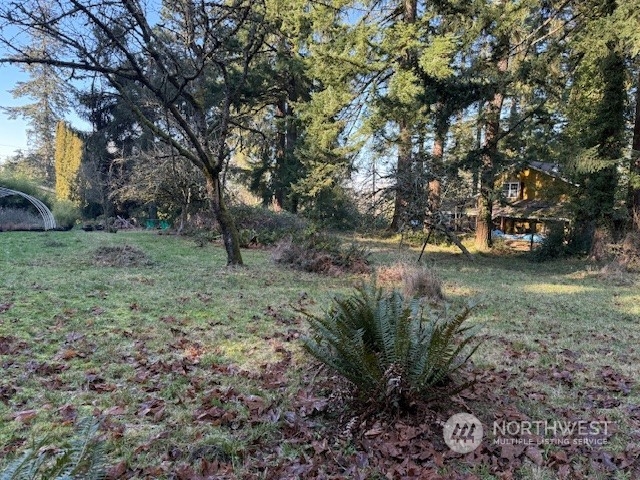 0 Bonanza Way Bellingham, WA 98229 - Photo 9 of 14 a view of a field with lots of trees