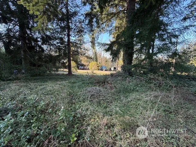 a view of a field with lots of bushes