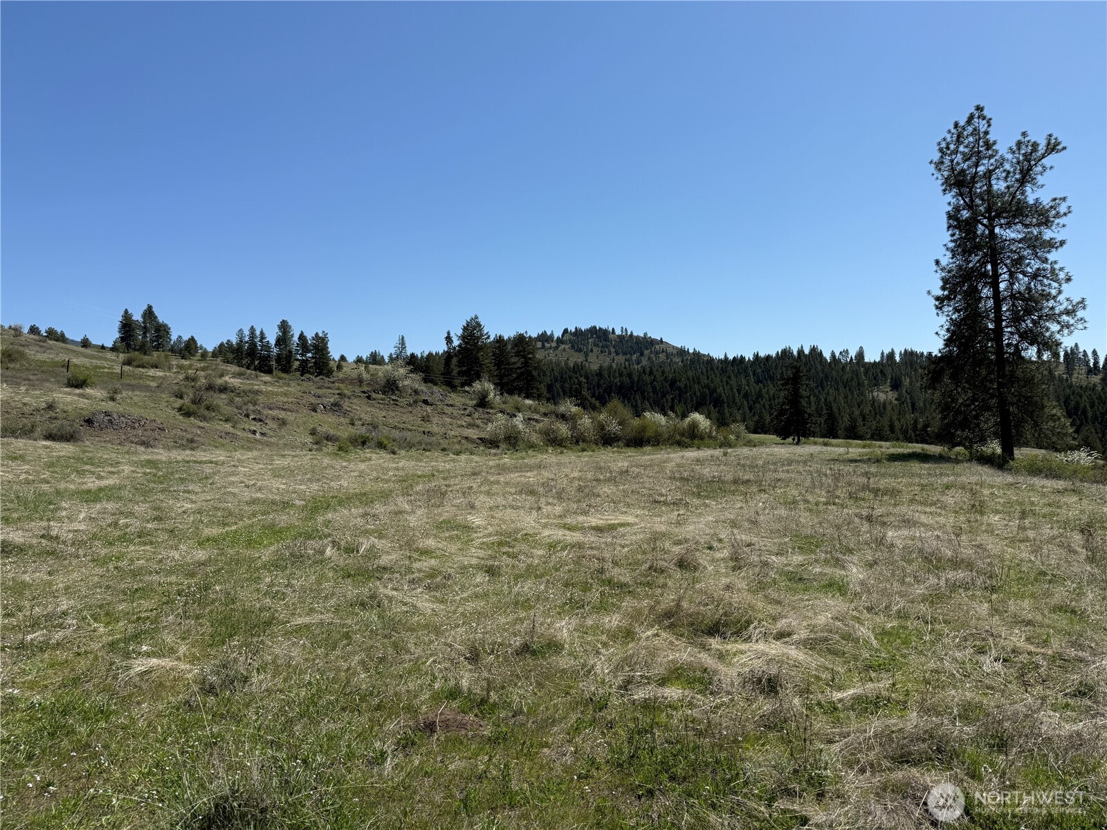 26 Grandview Road Curlew, WA 99118 - Photo 16 of 34 a view of a field with trees in background