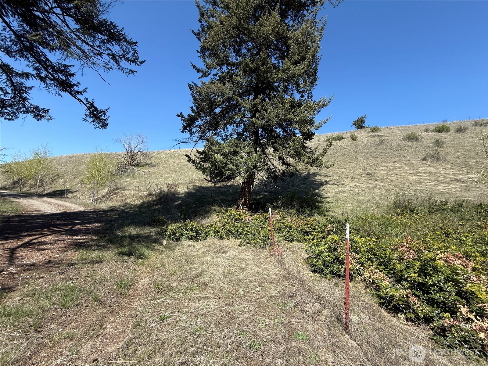 26 Grandview Road Curlew, WA 99118 - Photo 19 of 34 a view of a yard with a snow on the side of the road