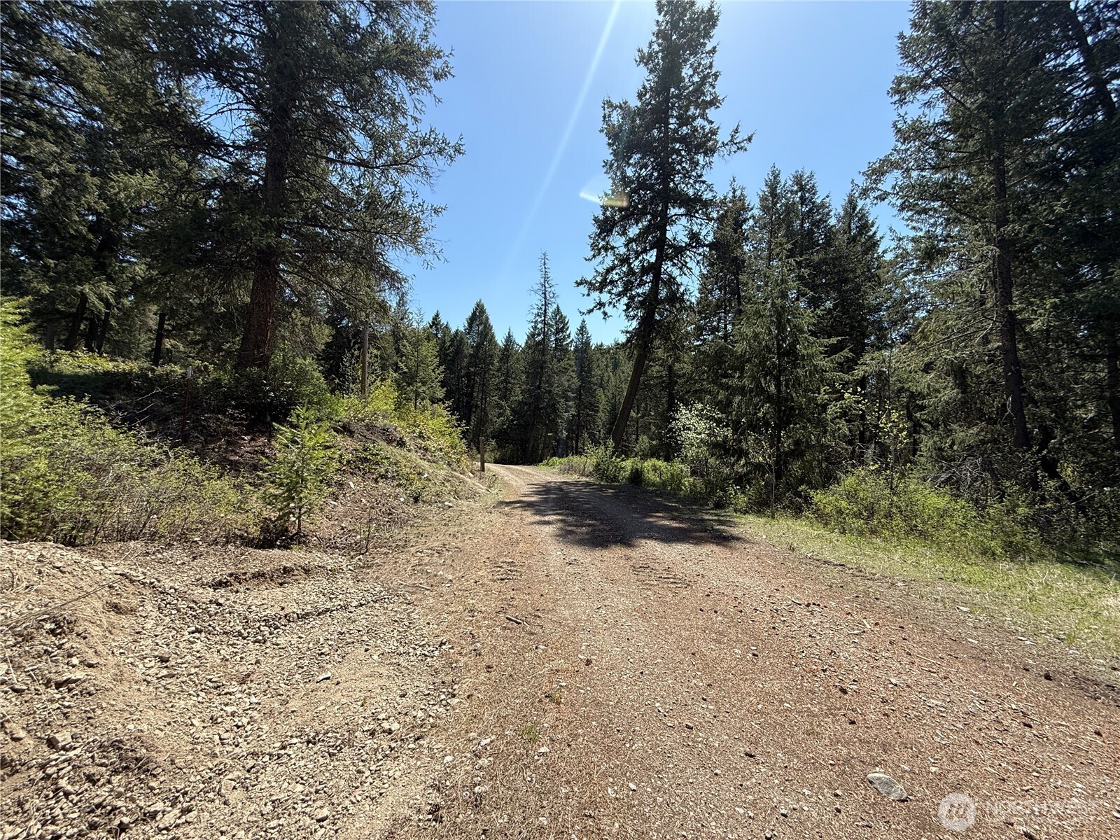 26 Grandview Road Curlew, WA 99118 - Photo 20 of 34 a view of a forest with trees in the background