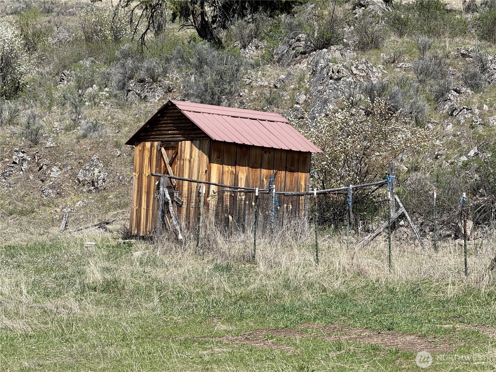 26 Grandview Road Curlew, WA 99118 - Photo 21 of 34 a backyard of a house with lots of green space