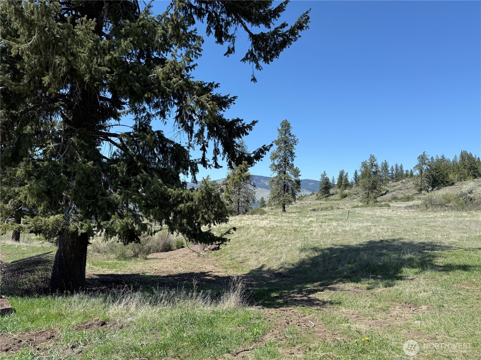 26 Grandview Road Curlew, WA 99118 - Photo 22 of 34 a view of a tree next to a lake