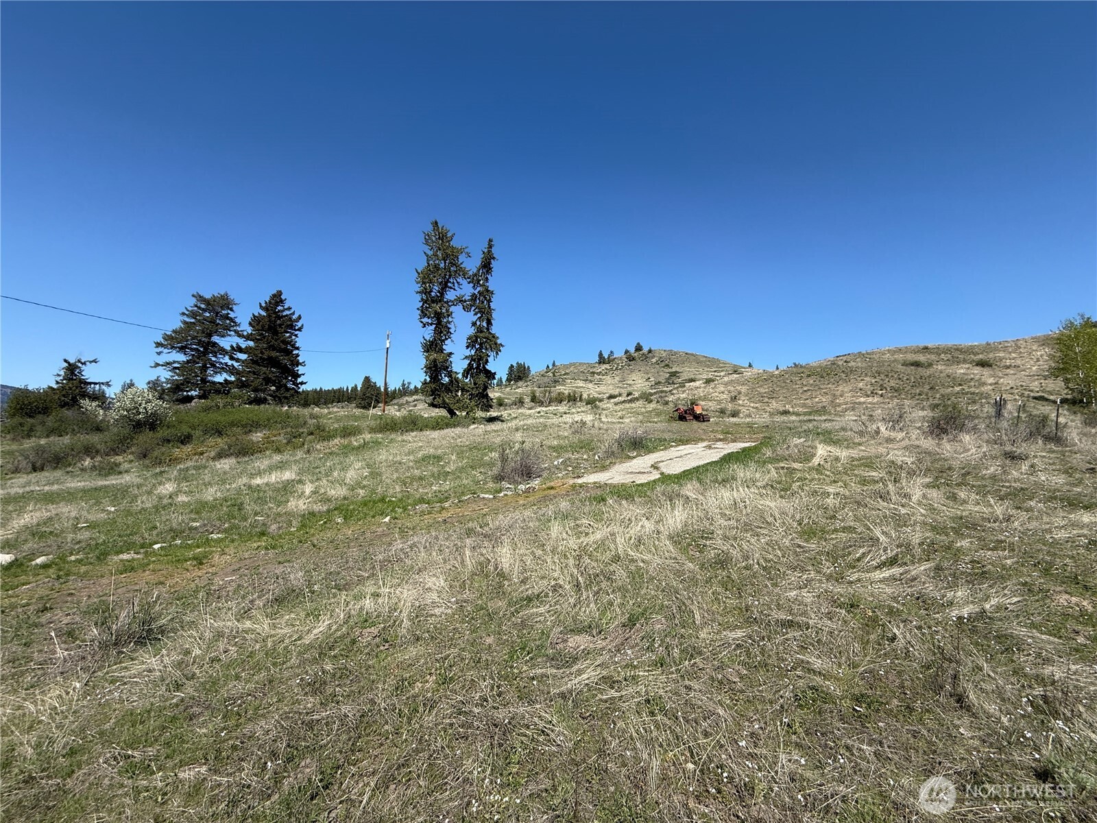 26 Grandview Road Curlew, WA 99118 - Photo 24 of 34 a view of a field with a mountain in the background