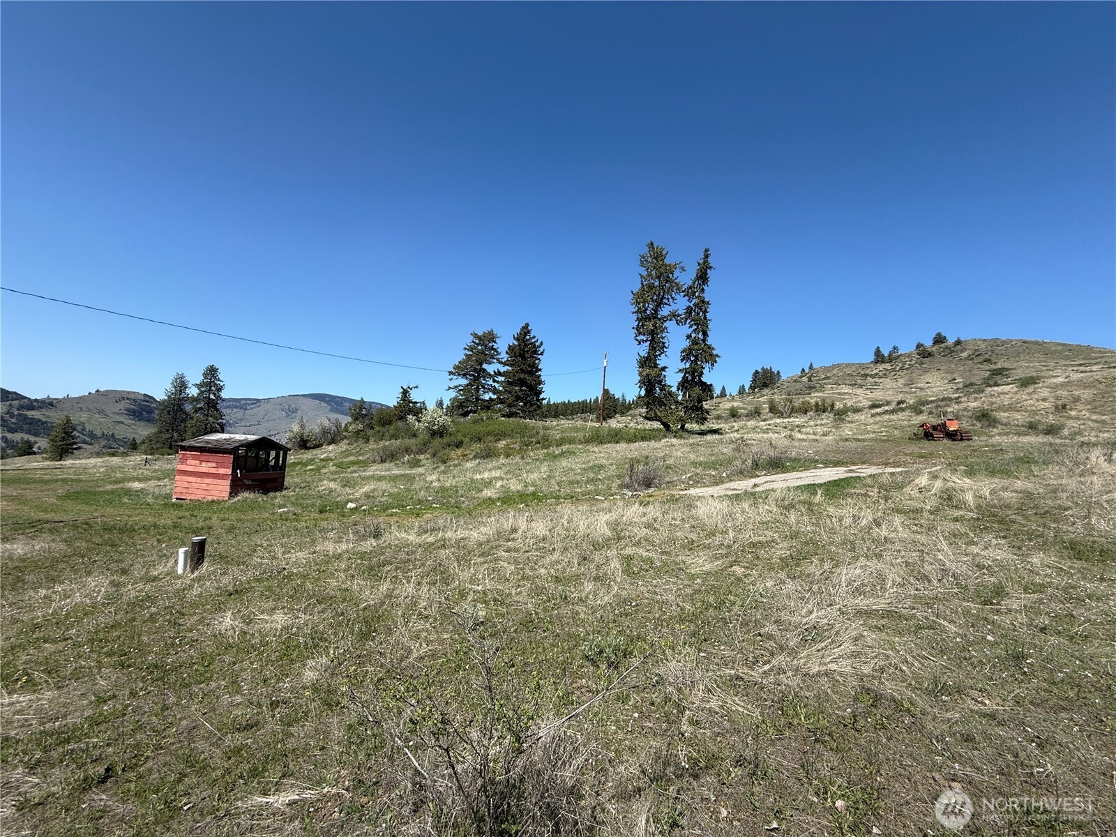 26 Grandview Road Curlew, WA 99118 - Photo 27 of 34 a view of a dry yard with trees