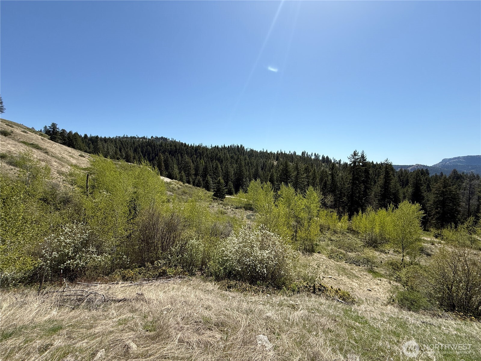 26 Grandview Road Curlew, WA 99118 - Photo 28 of 34 a view of a lush green outdoor space with a lake view