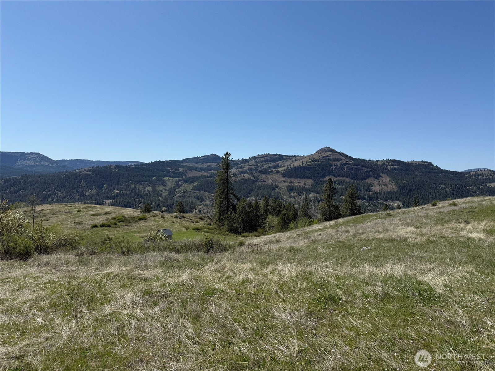 26 Grandview Road Curlew, WA 99118 - Photo 3 of 34 a view of an outdoor space and mountains