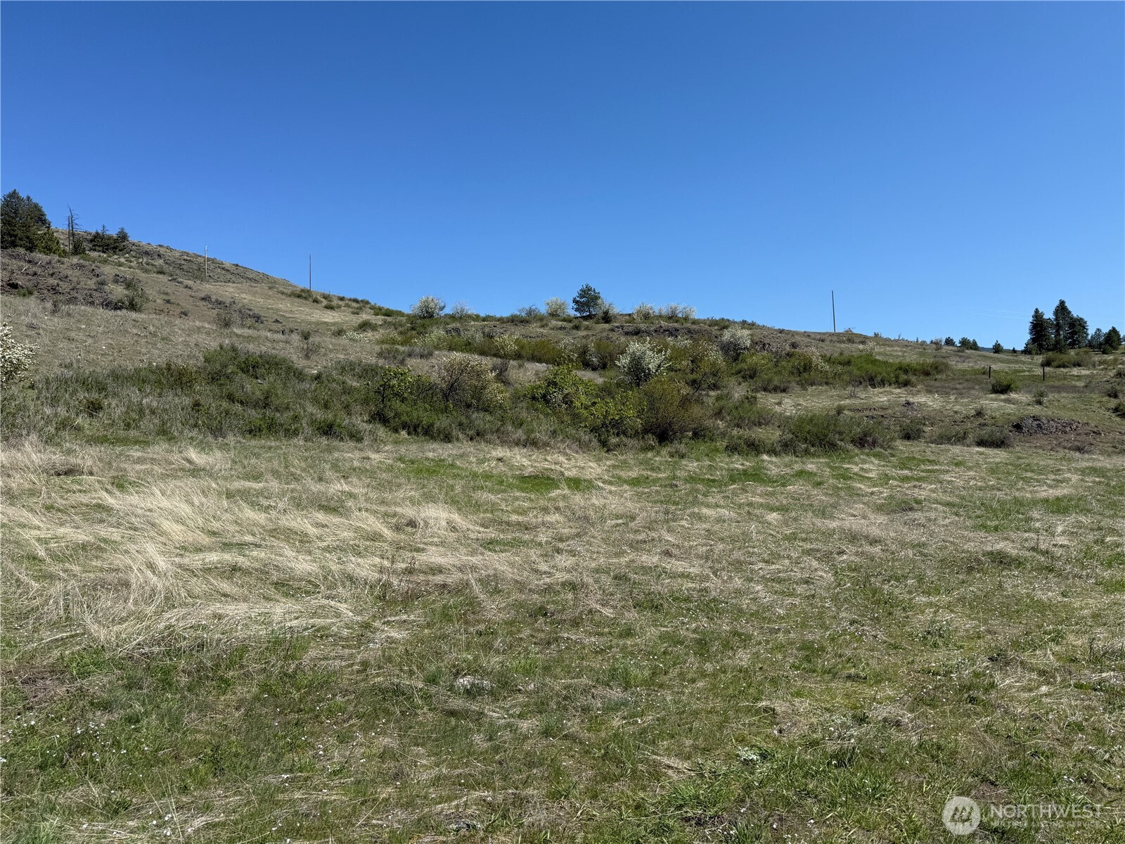 26 Grandview Road Curlew, WA 99118 - Photo 32 of 34 a view of a large mountain with a mountain in the background