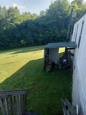 a view of a backyard with couches plants and large trees