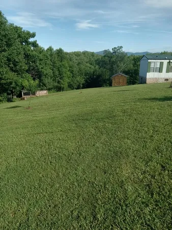 a view of a green yard with a house