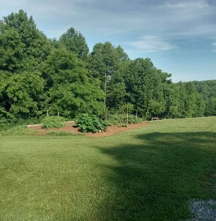 a view of field with trees in the background