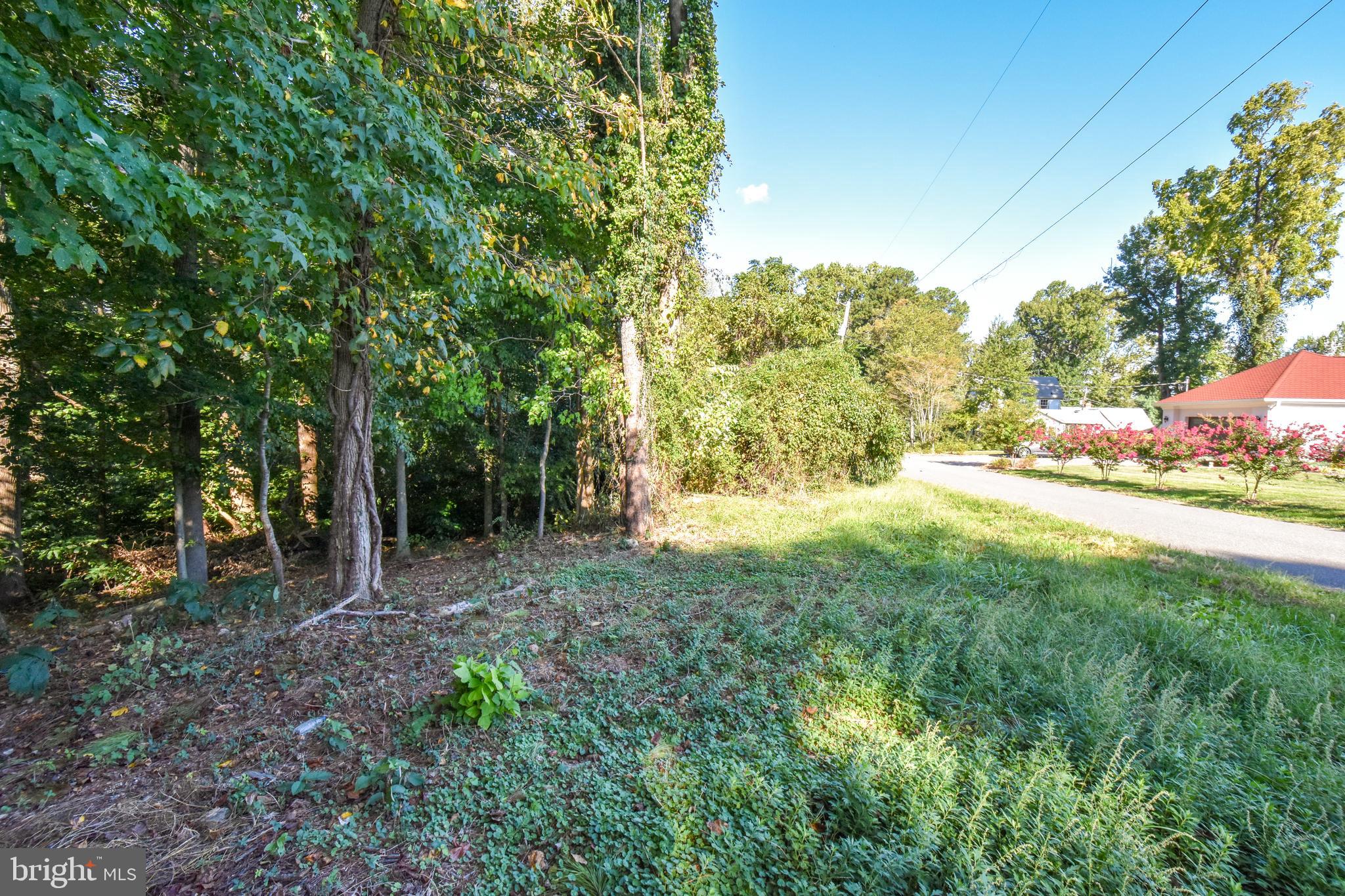 6041 Hill Road St. Leonard, MD 20685 - Photo 7 of 17 a view of backyard with green space