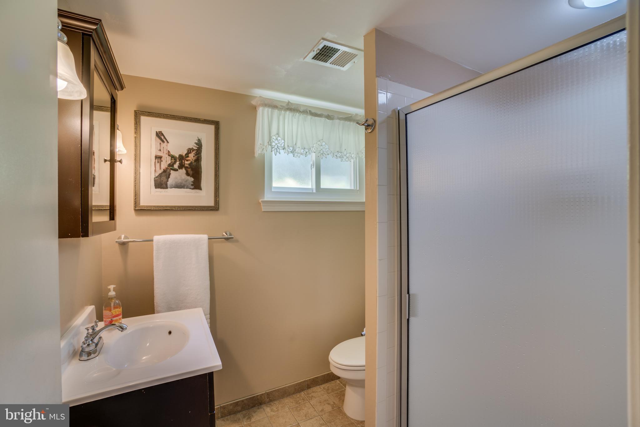 3900 Flagstone Terrace Alexandria, VA 22306 - Photo 26 of 45 Lower Level Bath - Across from Au Pair Suite