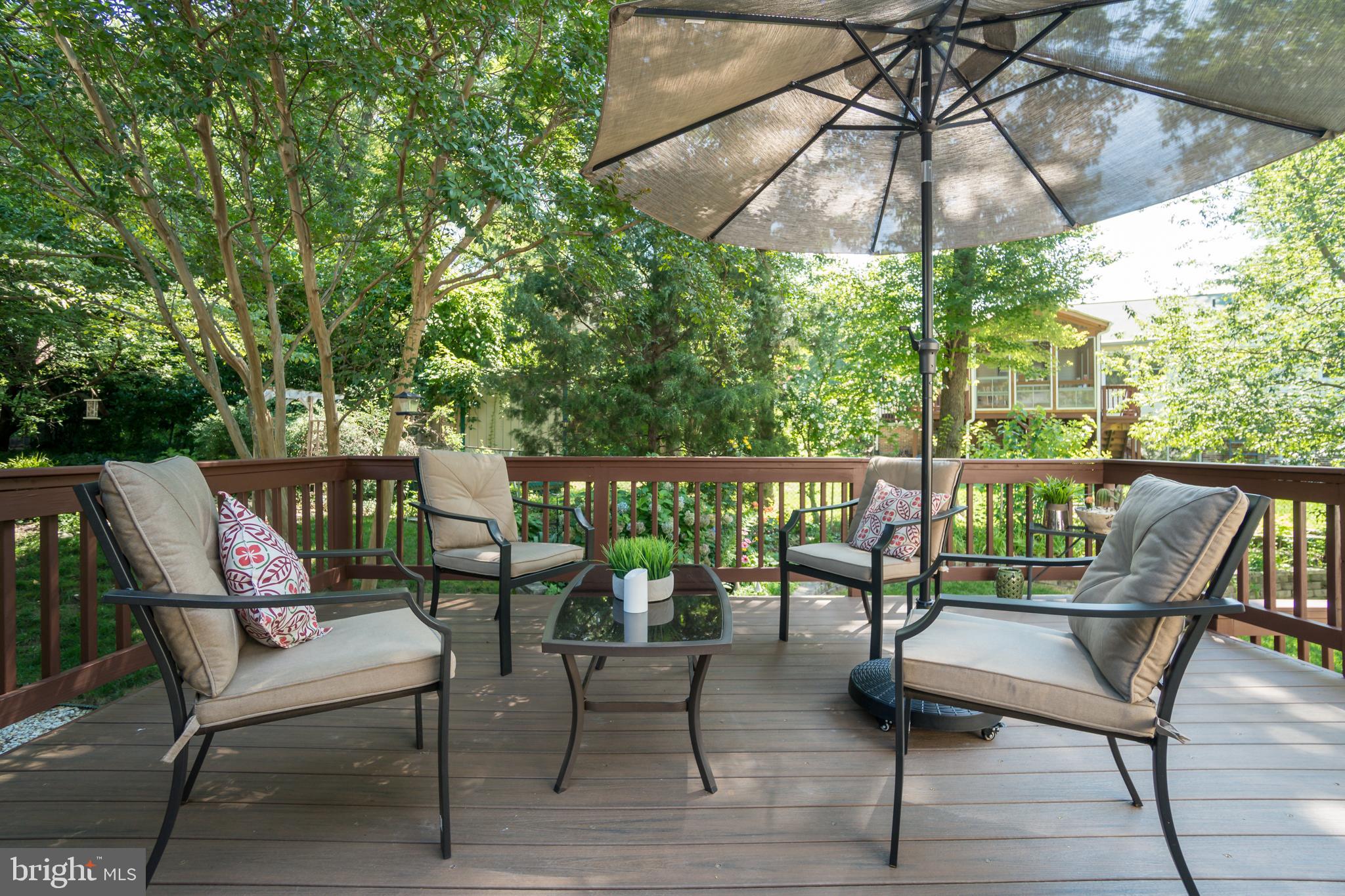 3900 Flagstone Terrace Alexandria, VA 22306 - Photo 33 of 45 Trex Deck!