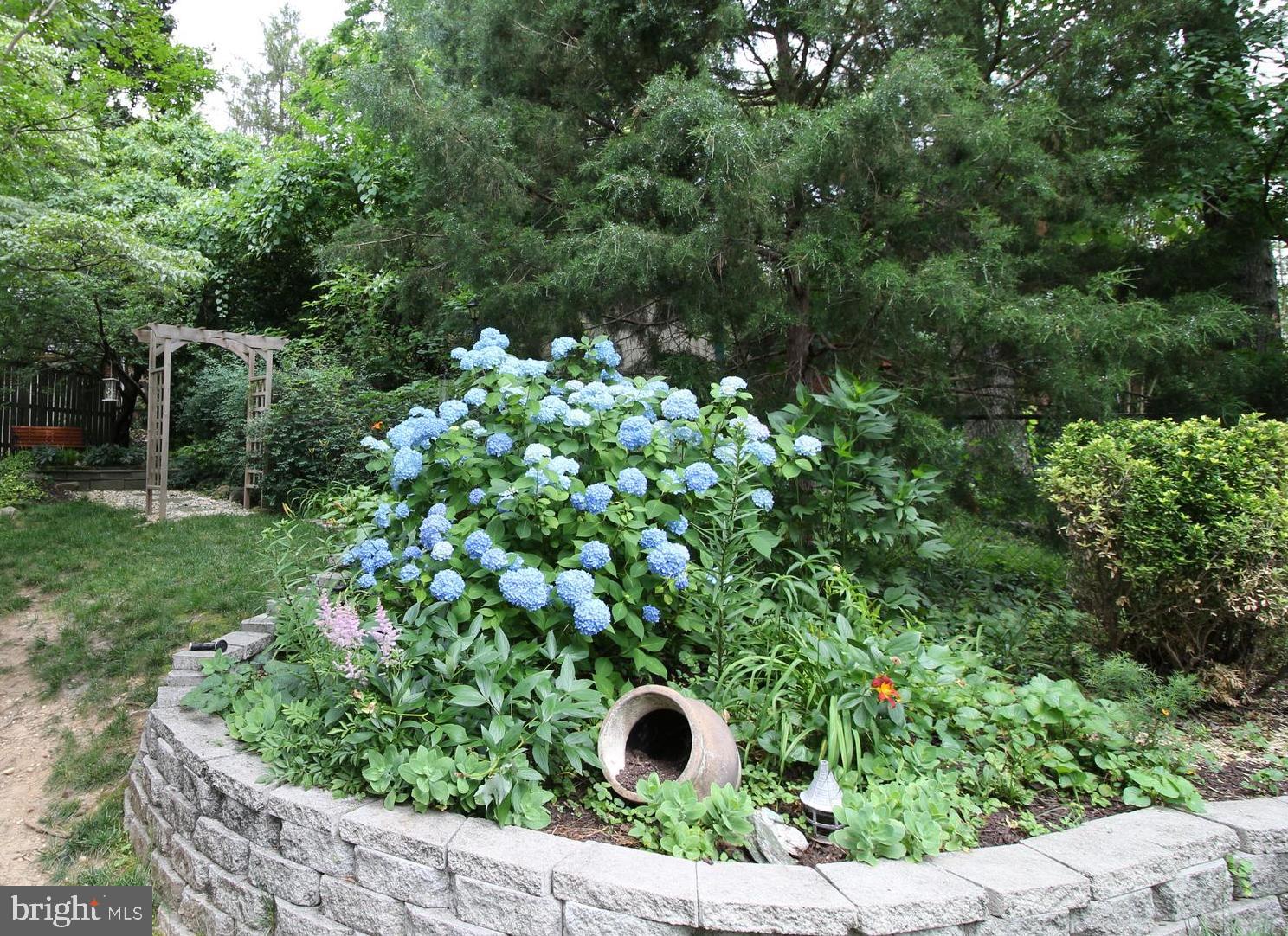 3900 Flagstone Terrace Alexandria, VA 22306 - Photo 36 of 45 Hydrangeas