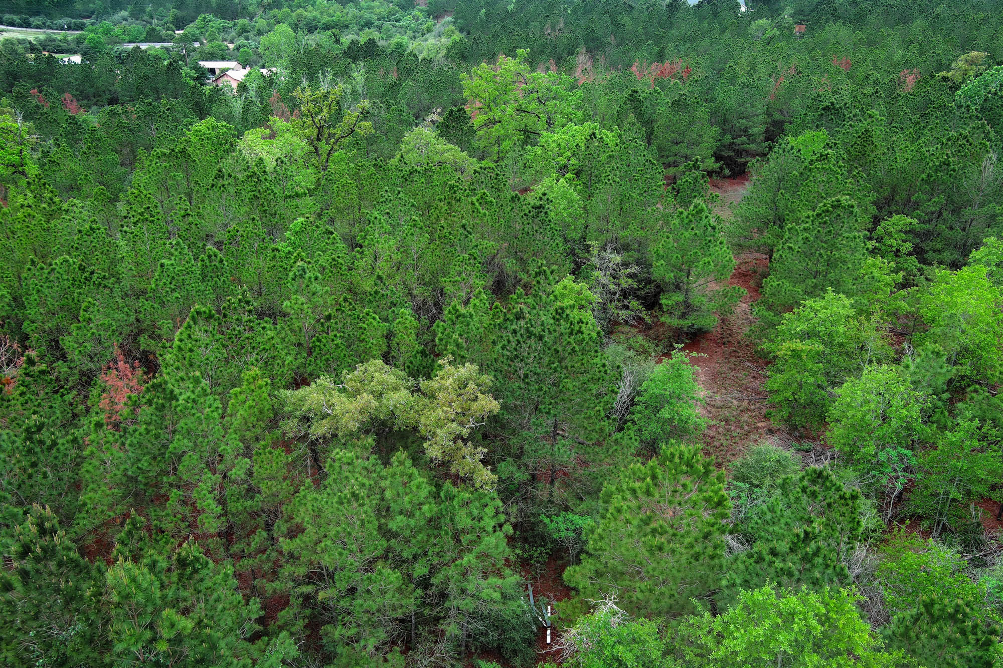 453 Kelley Road East Bastrop, TX 78602 - Photo 16 of 20 an aerial view of residential house with outdoor space and trees all around