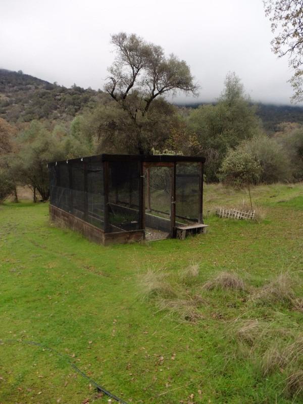 9999 Sycamore Road Tollhouse, CA 93667 - Photo 31 of 45 Gallery Image 31