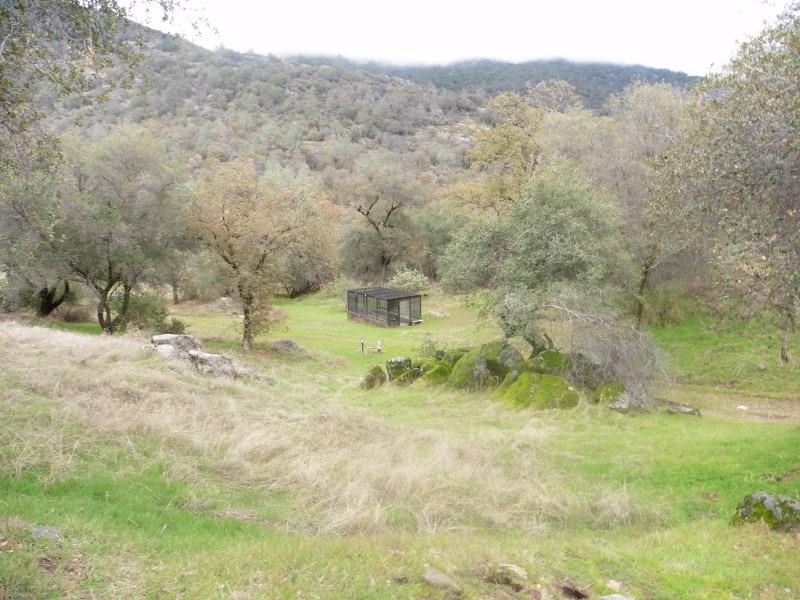 9999 Sycamore Road Tollhouse, CA 93667 - Photo 32 of 45 Gallery Image 32