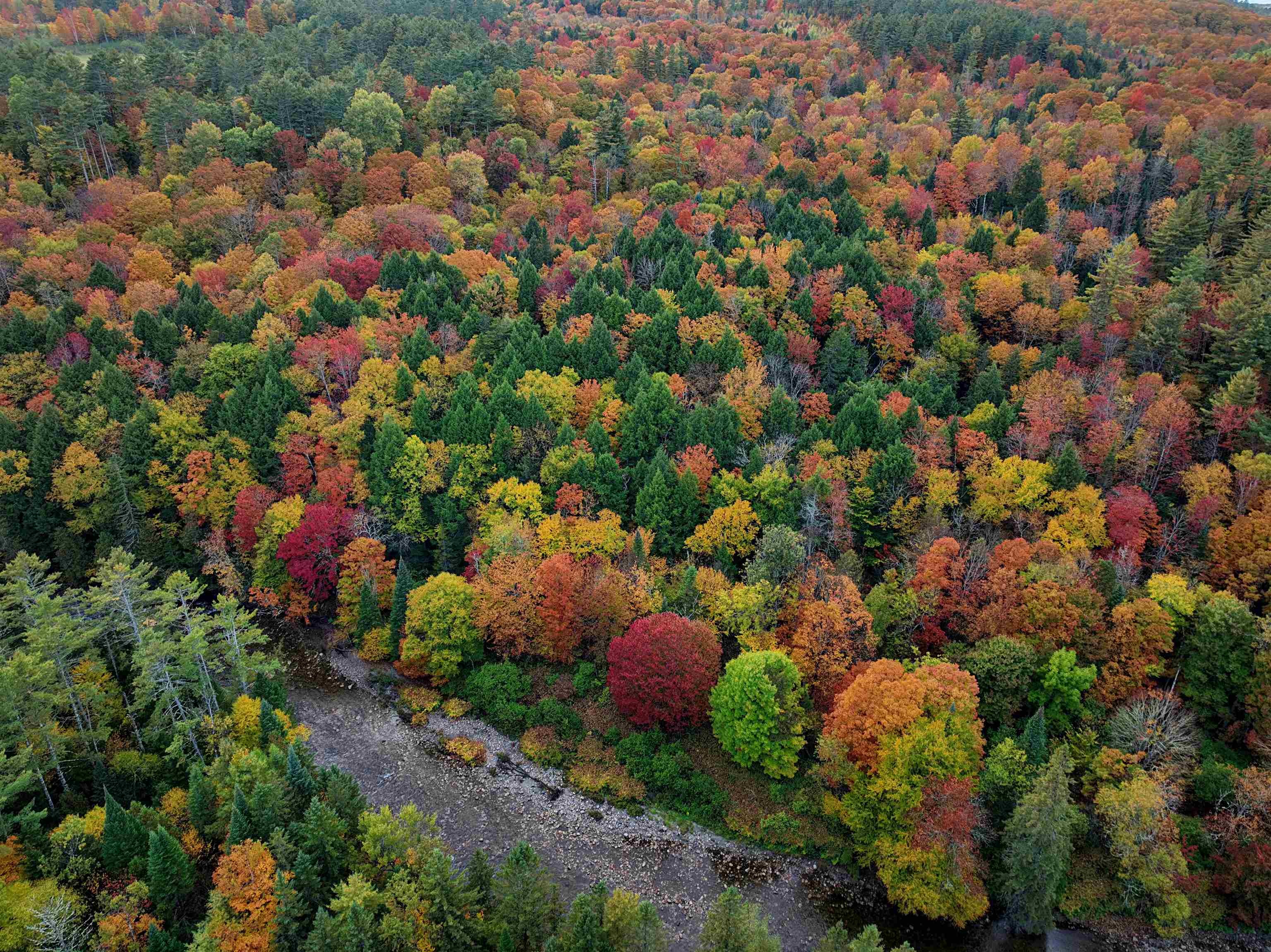 0 Darling Hill Road Lyndonville, VT 05851 - Photo 13 of 47 Gallery Image 13
