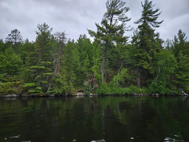 $999,999 | Xxx Xxx Hinsdale Island, Cook, MN 55723