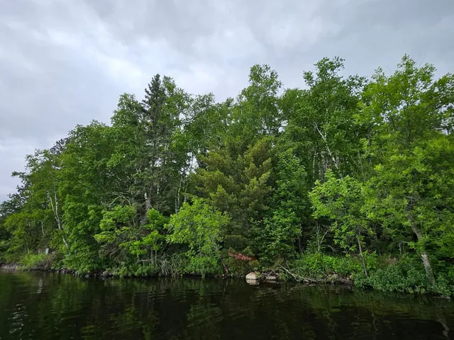 $999,999 | Xxx Xxx Hinsdale Island, Cook, MN 55723