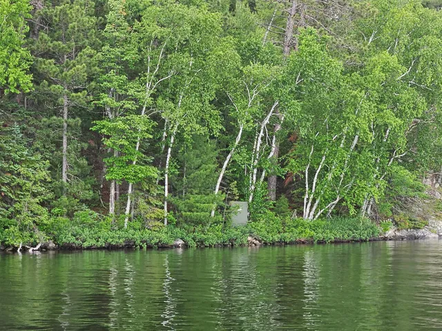 $999,999 | Xxx Xxx Hinsdale Island, Cook, MN 55723