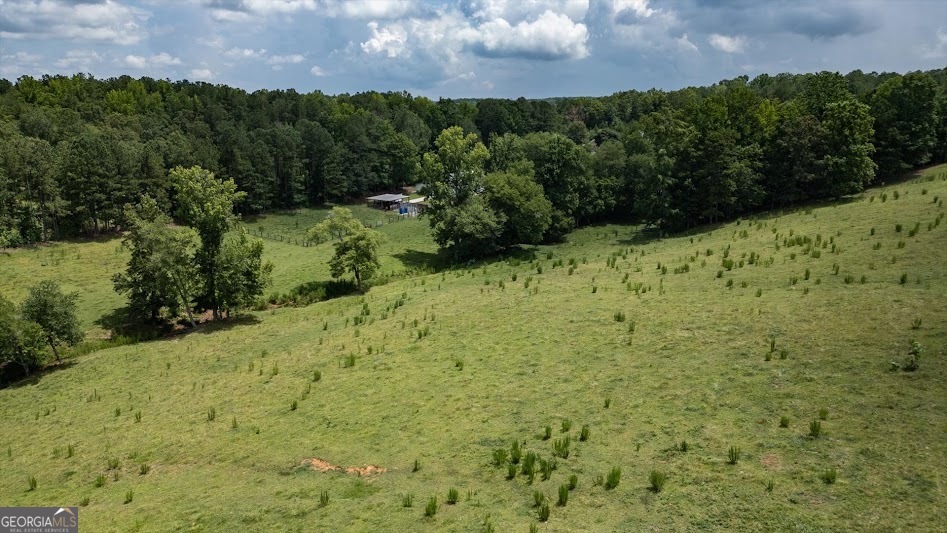 0 County Road 19 Heflin, AL 36264 - Photo 33 of 36