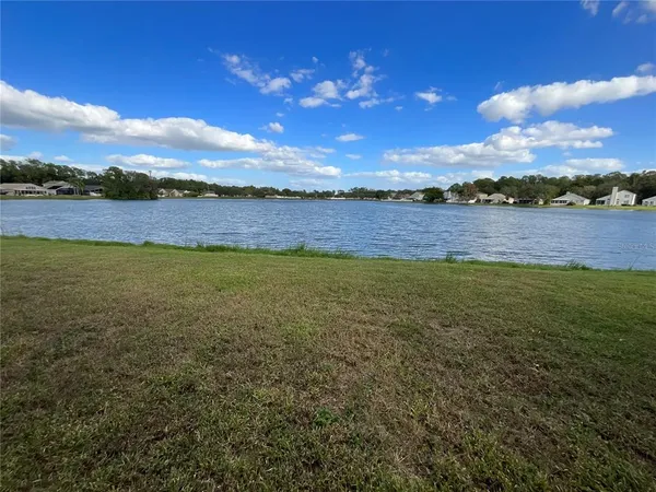 $2,600 | 8625 Manassas Road, Tampa, FL 33635