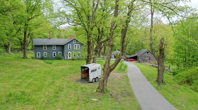 a close up of a plant