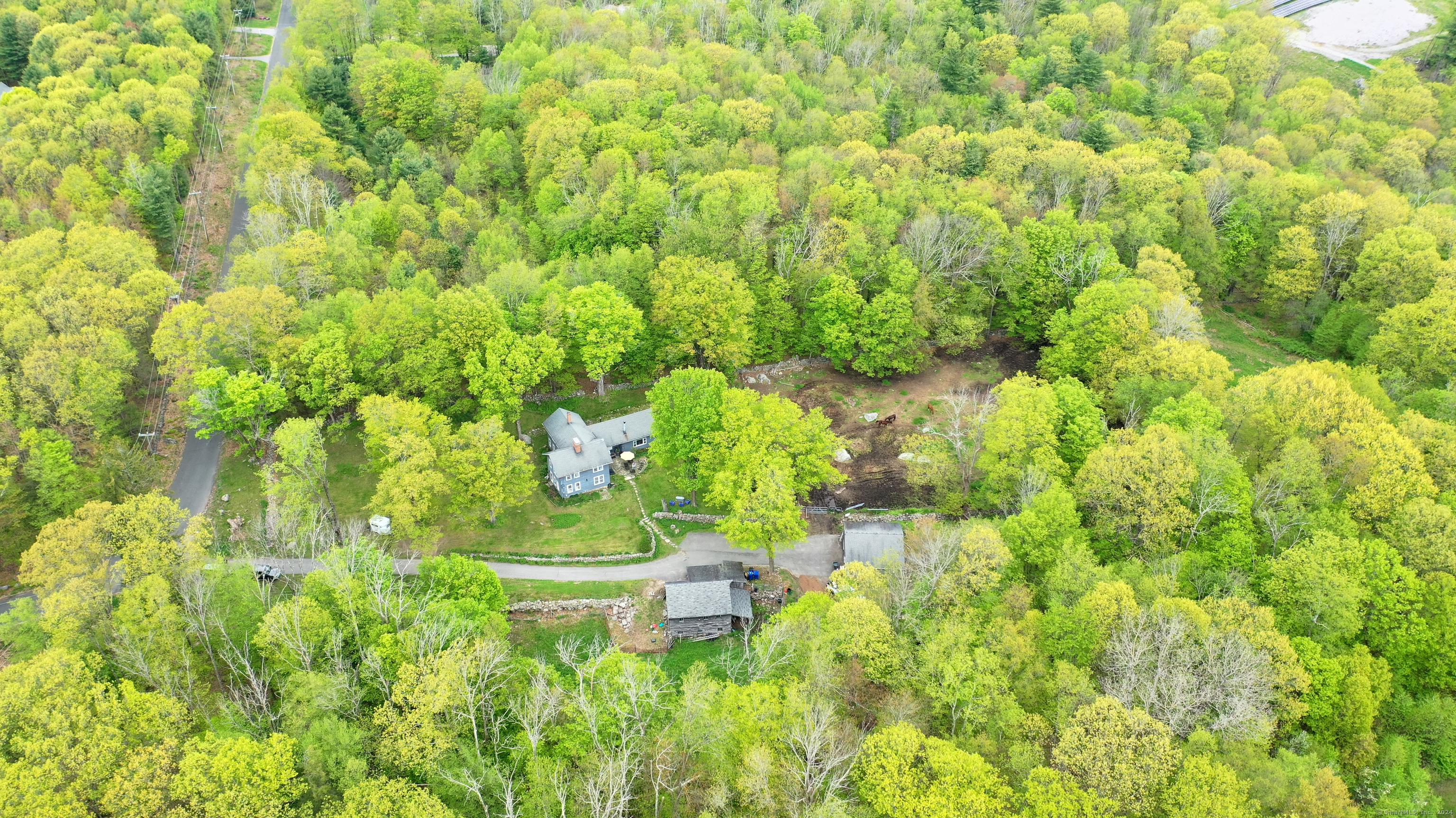 469 Platt Hill Road Winchester, CT 06098 - Photo 37 of 39 a close up of a plant