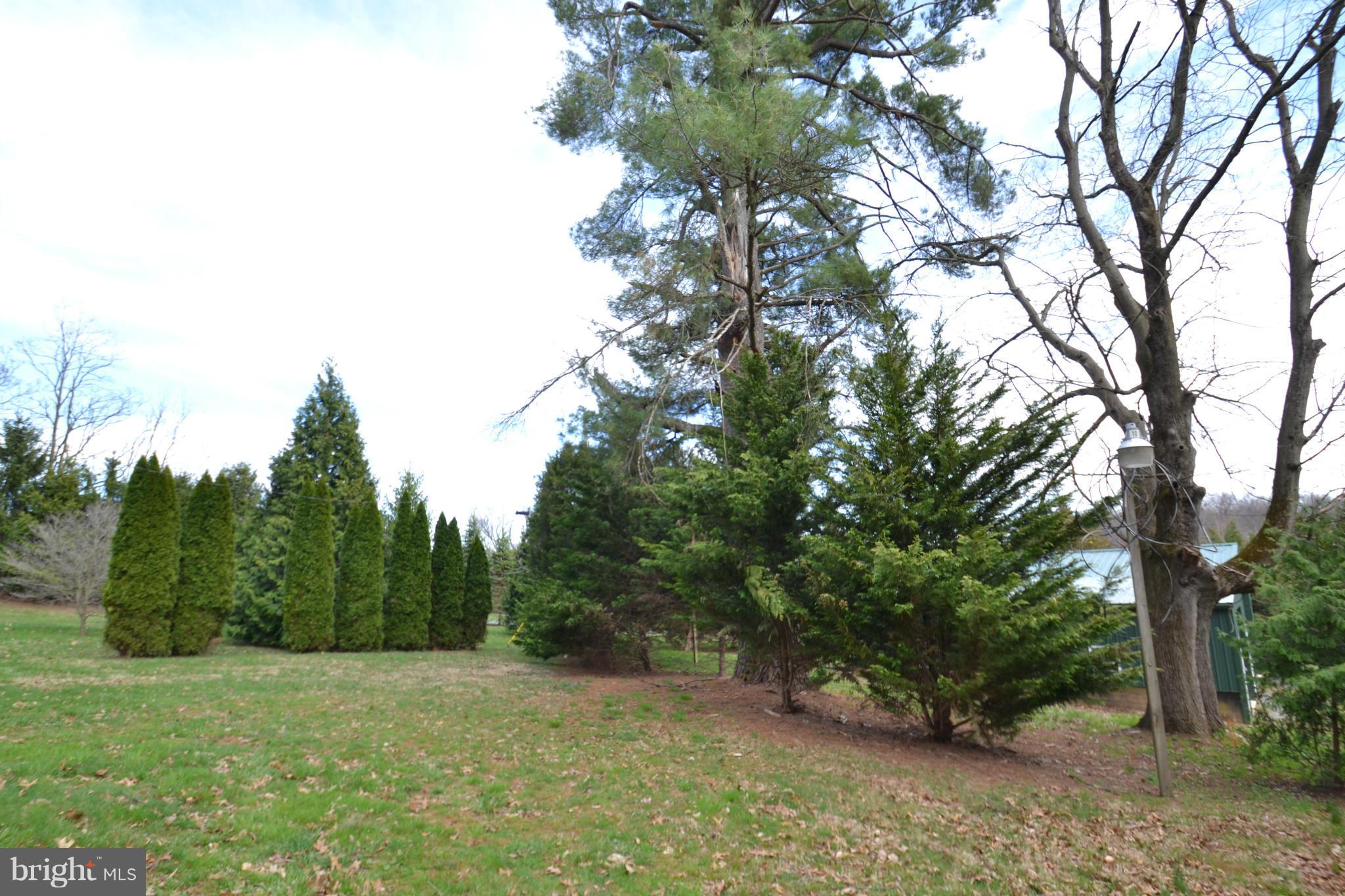 15300 Parrish Road Upperco, MD 21155 - Photo 16 of 30 a big yard with lots of green space