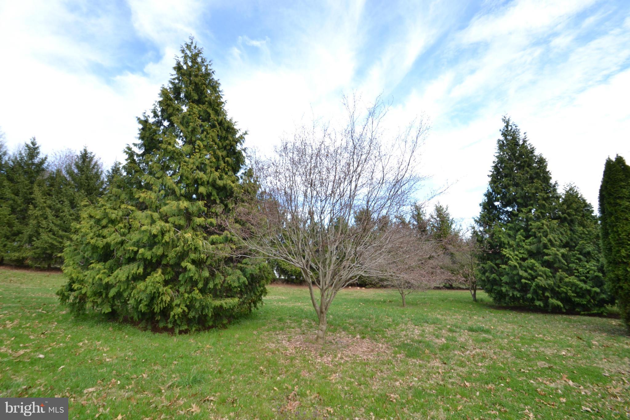 15300 Parrish Road Upperco, MD 21155 - Photo 17 of 30 a view of a garden with a tree