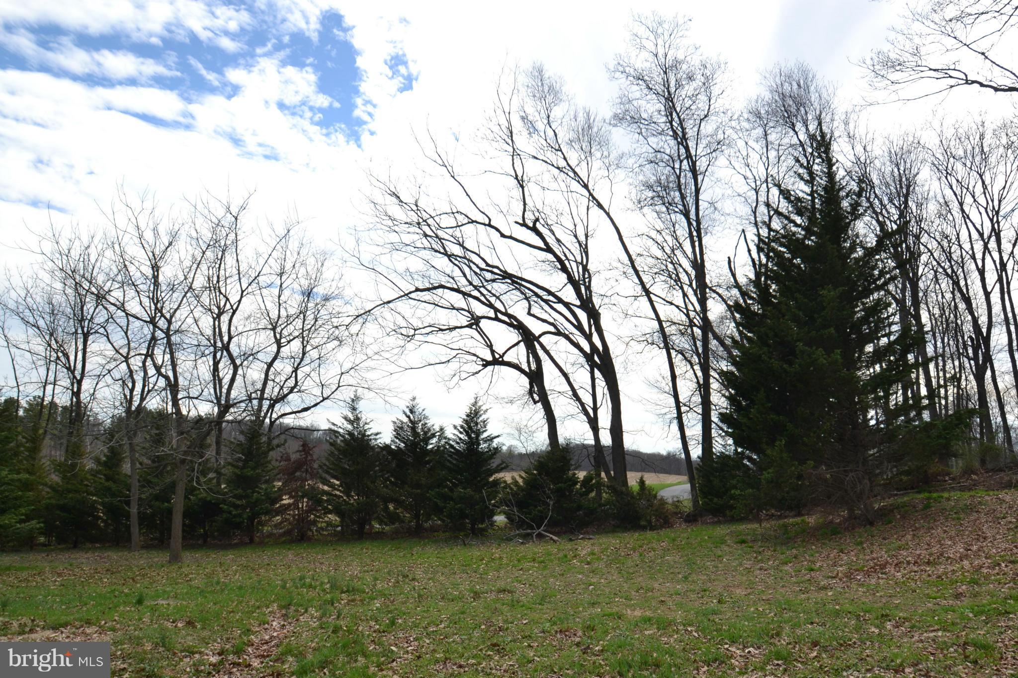 15300 Parrish Road Upperco, MD 21155 - Photo 18 of 30 a view of backyard with green space