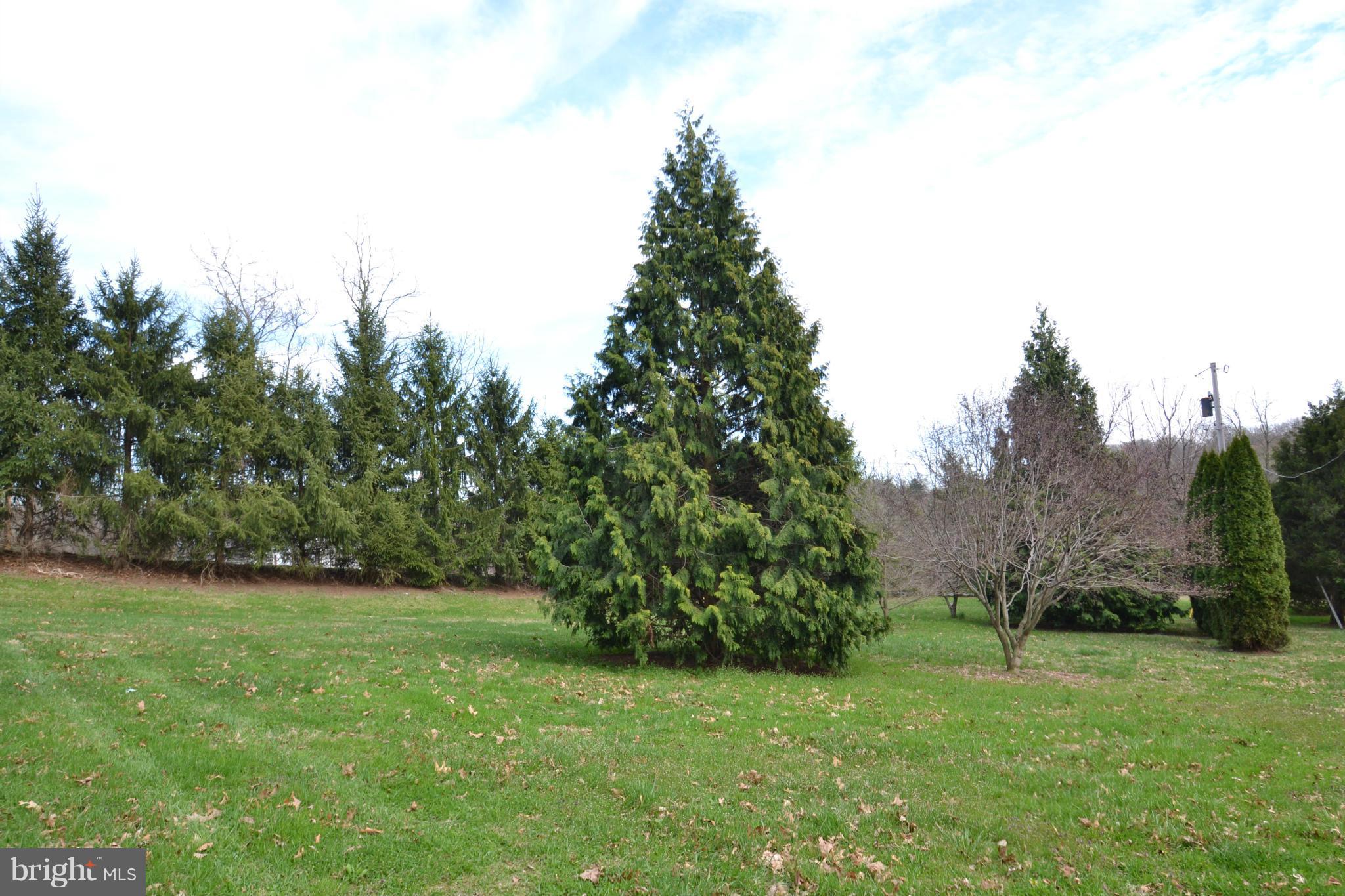 15300 Parrish Road Upperco, MD 21155 - Photo 19 of 30 a view of a grassy field with trees in the background