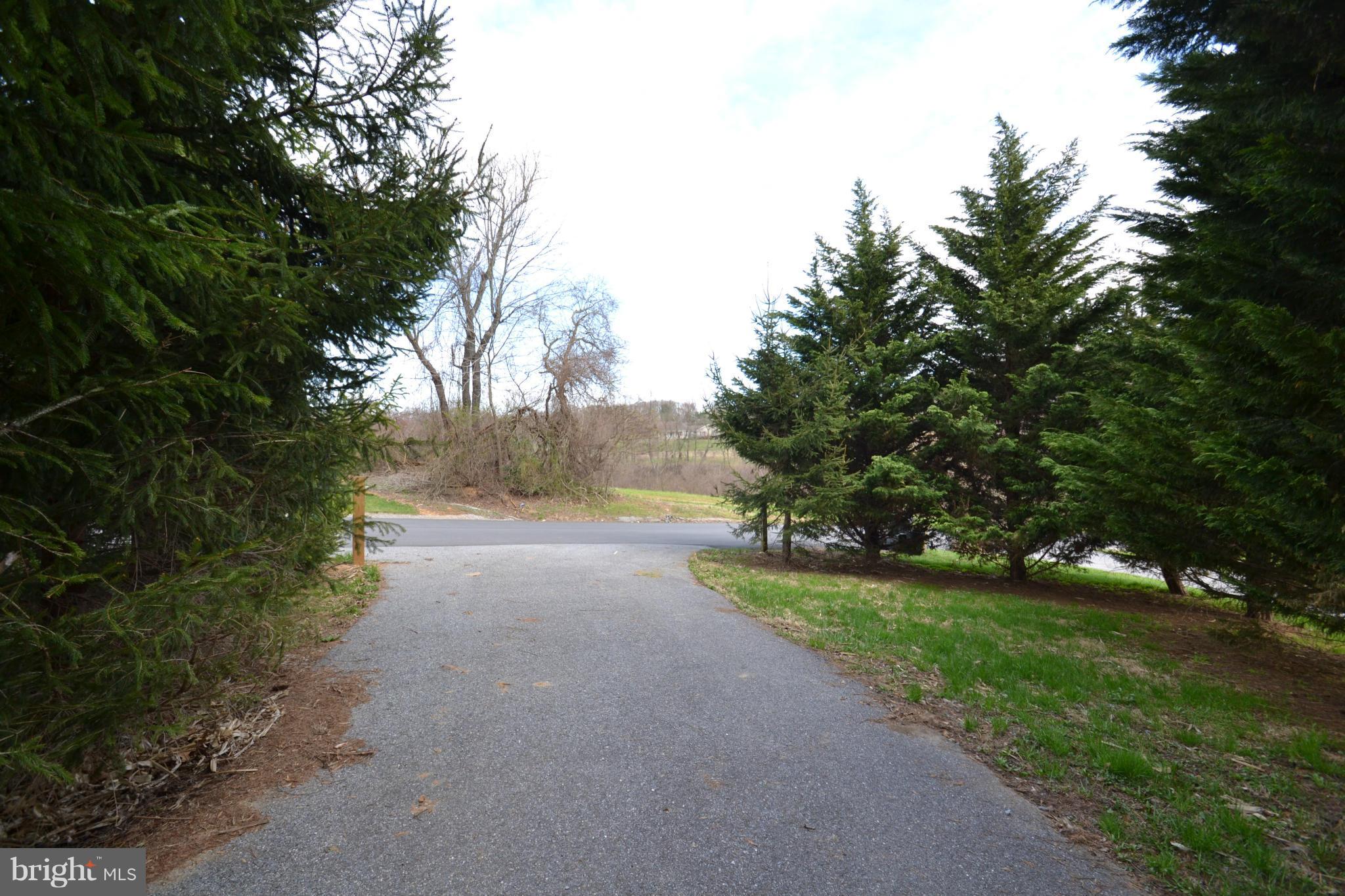 15300 Parrish Road Upperco, MD 21155 - Photo 3 of 30 a view of a yard with plants and large trees