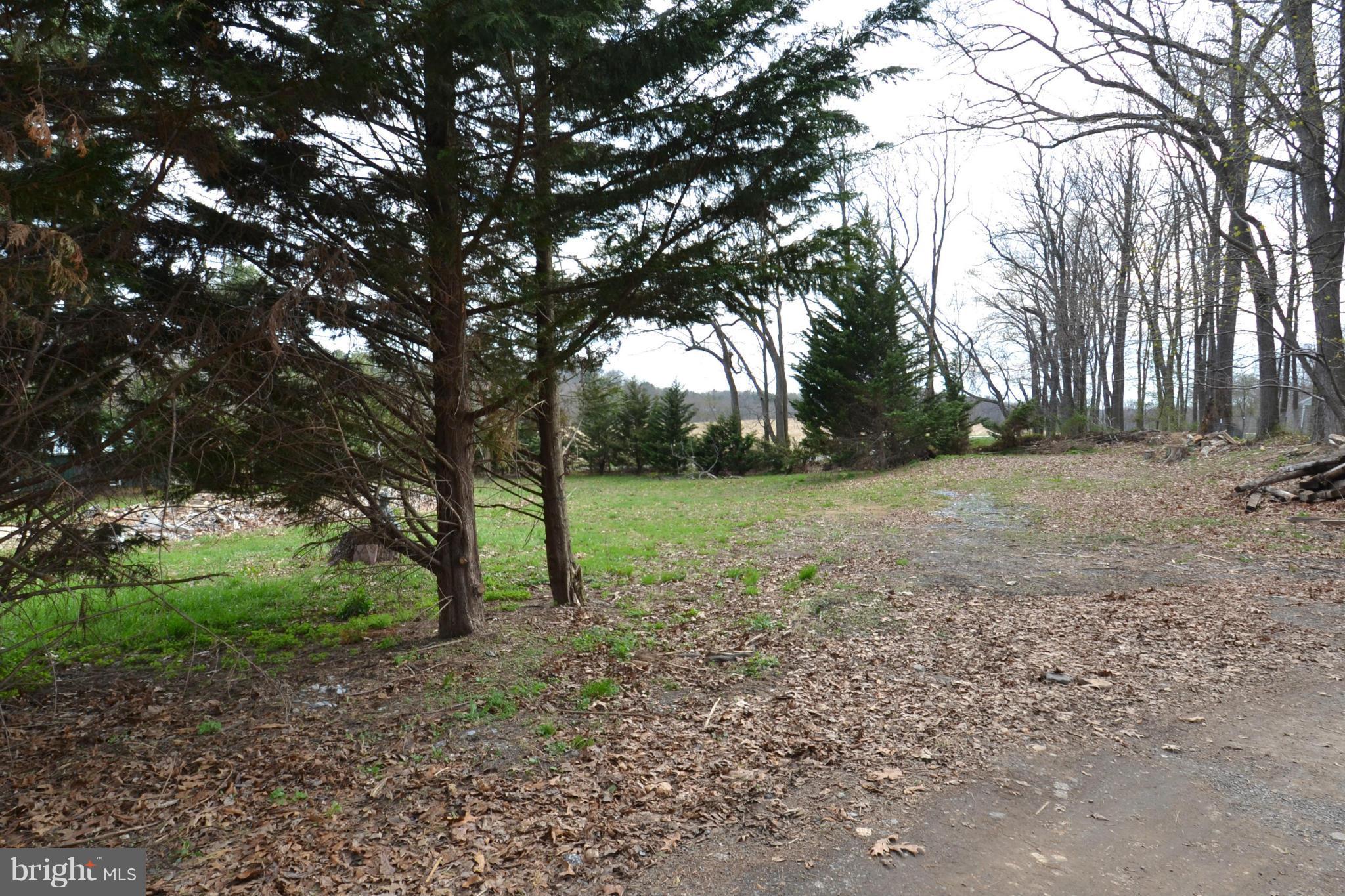 15300 Parrish Road Upperco, MD 21155 - Photo 21 of 30 a view of backyard with green space