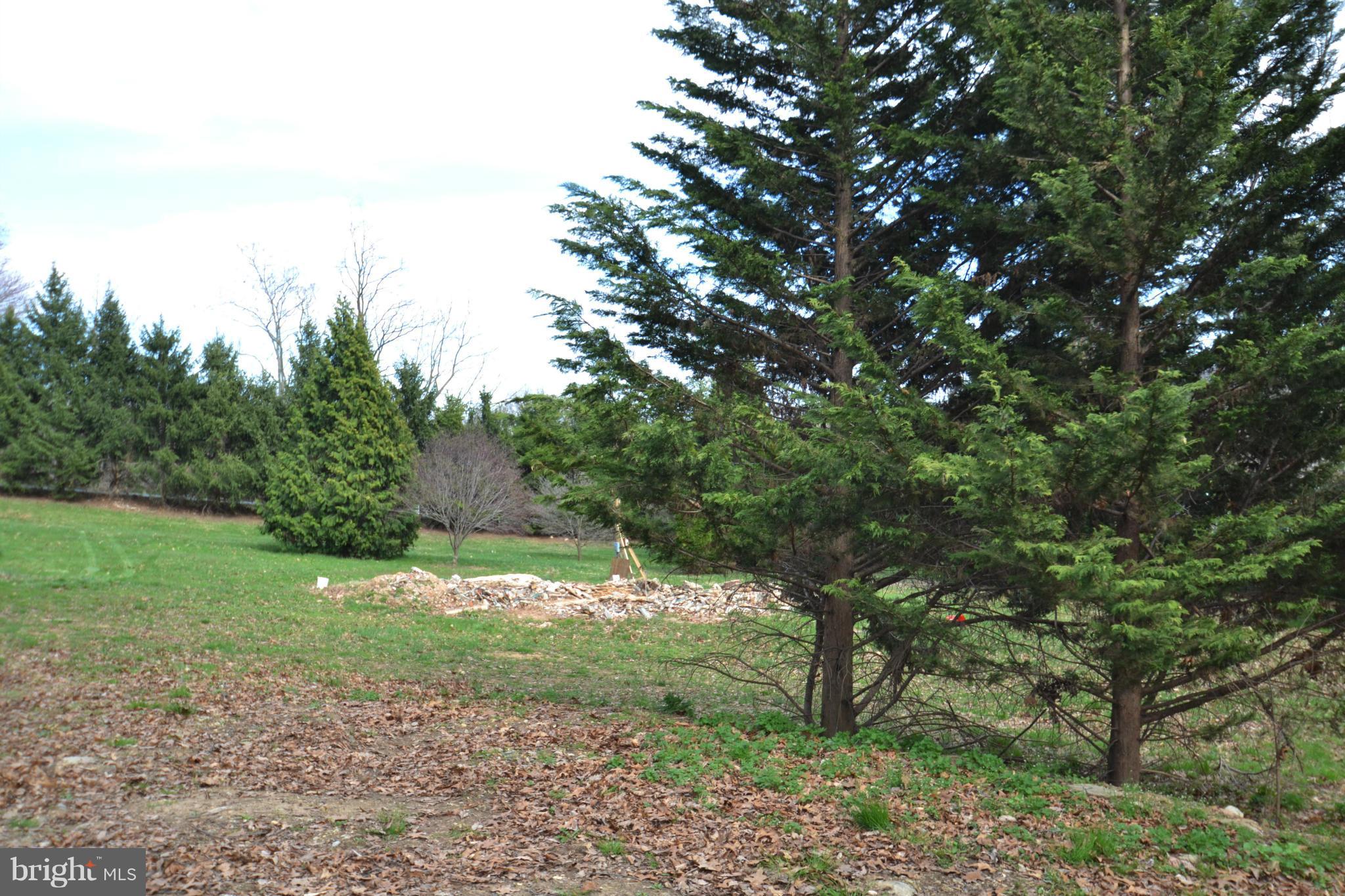 15300 Parrish Road Upperco, MD 21155 - Photo 24 of 30 a big yard with lots of green space and plants