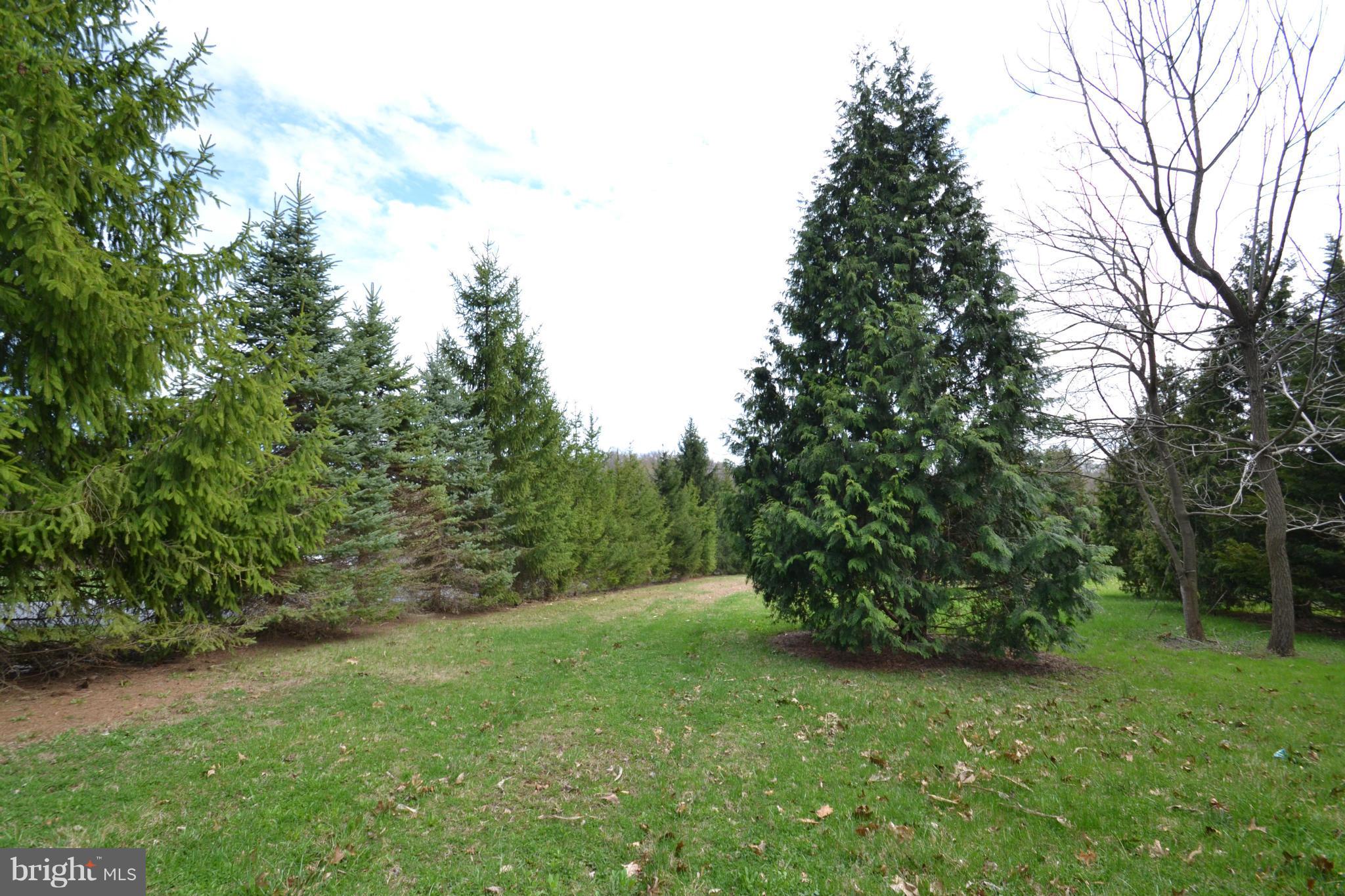 15300 Parrish Road Upperco, MD 21155 - Photo 25 of 30 a view of a trees with a yard