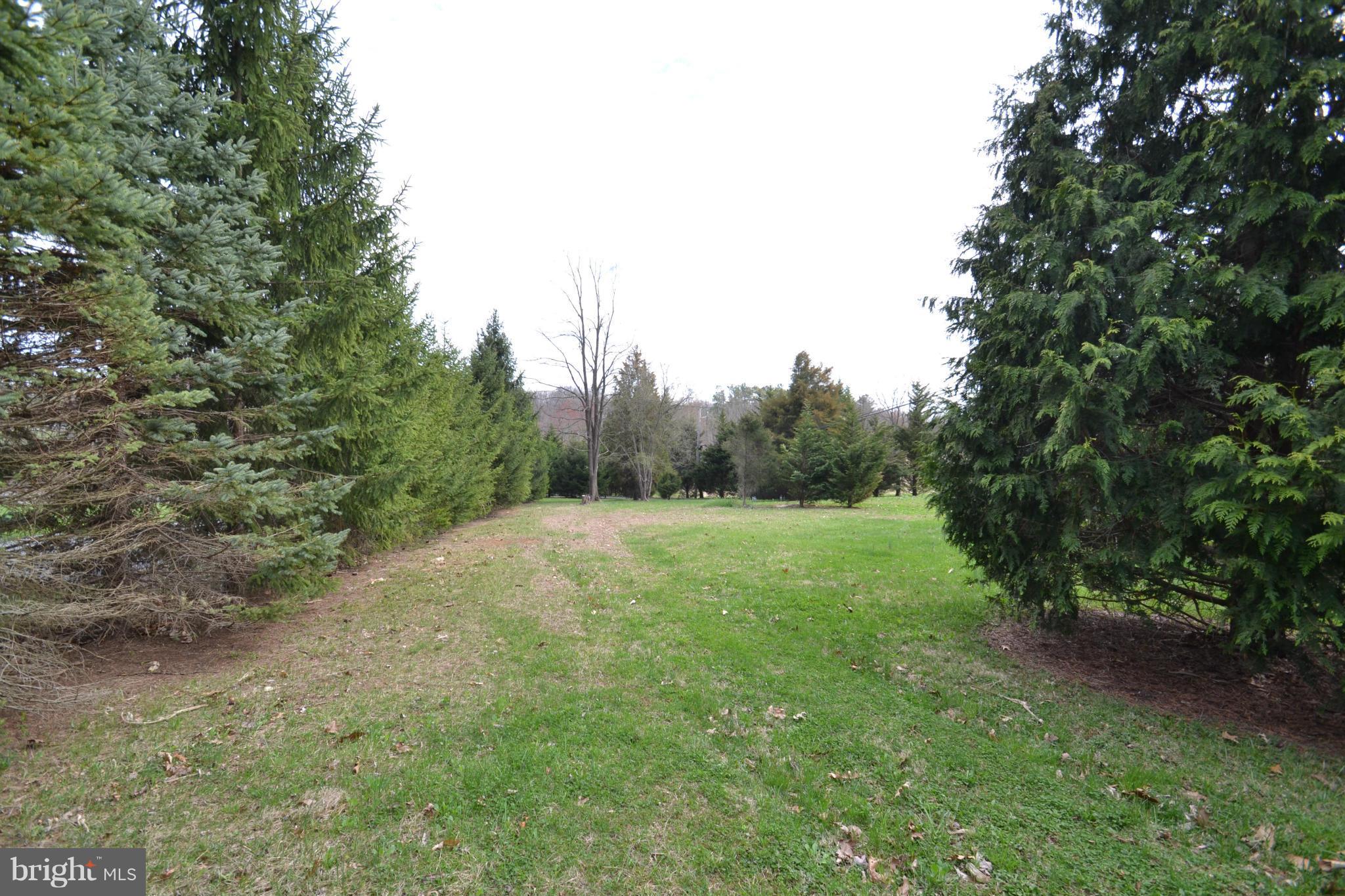 15300 Parrish Road Upperco, MD 21155 - Photo 26 of 30 a big yard with lots of green space