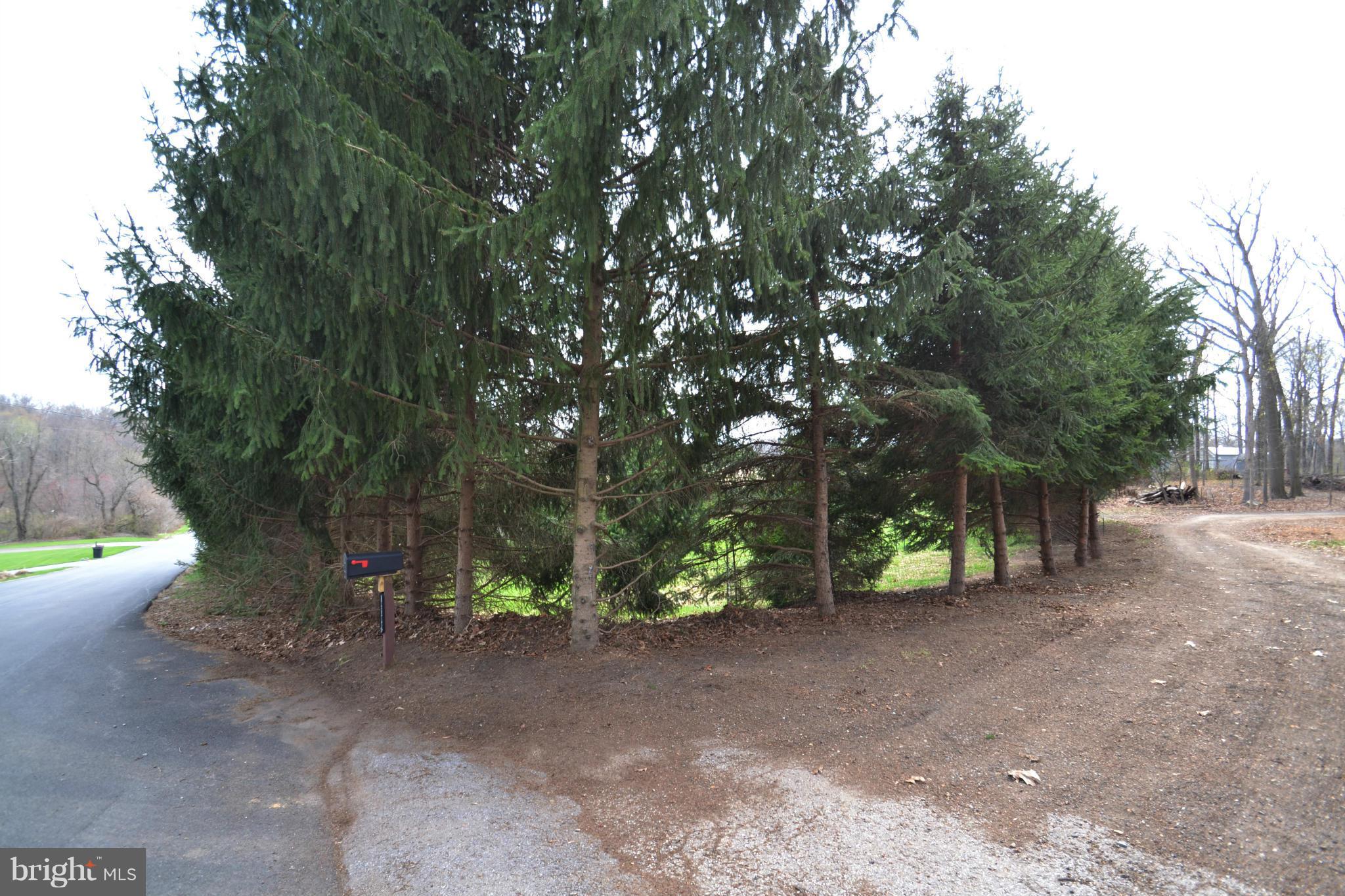 15300 Parrish Road Upperco, MD 21155 - Photo 29 of 30 a view of a forest with trees