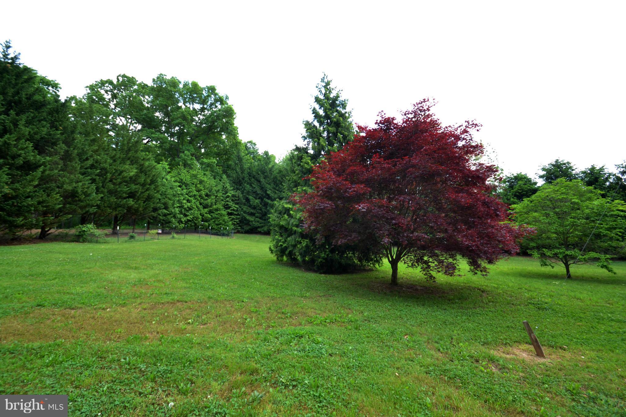 15300 Parrish Road Upperco, MD 21155 - Photo 4 of 30 a view of a garden with a tree