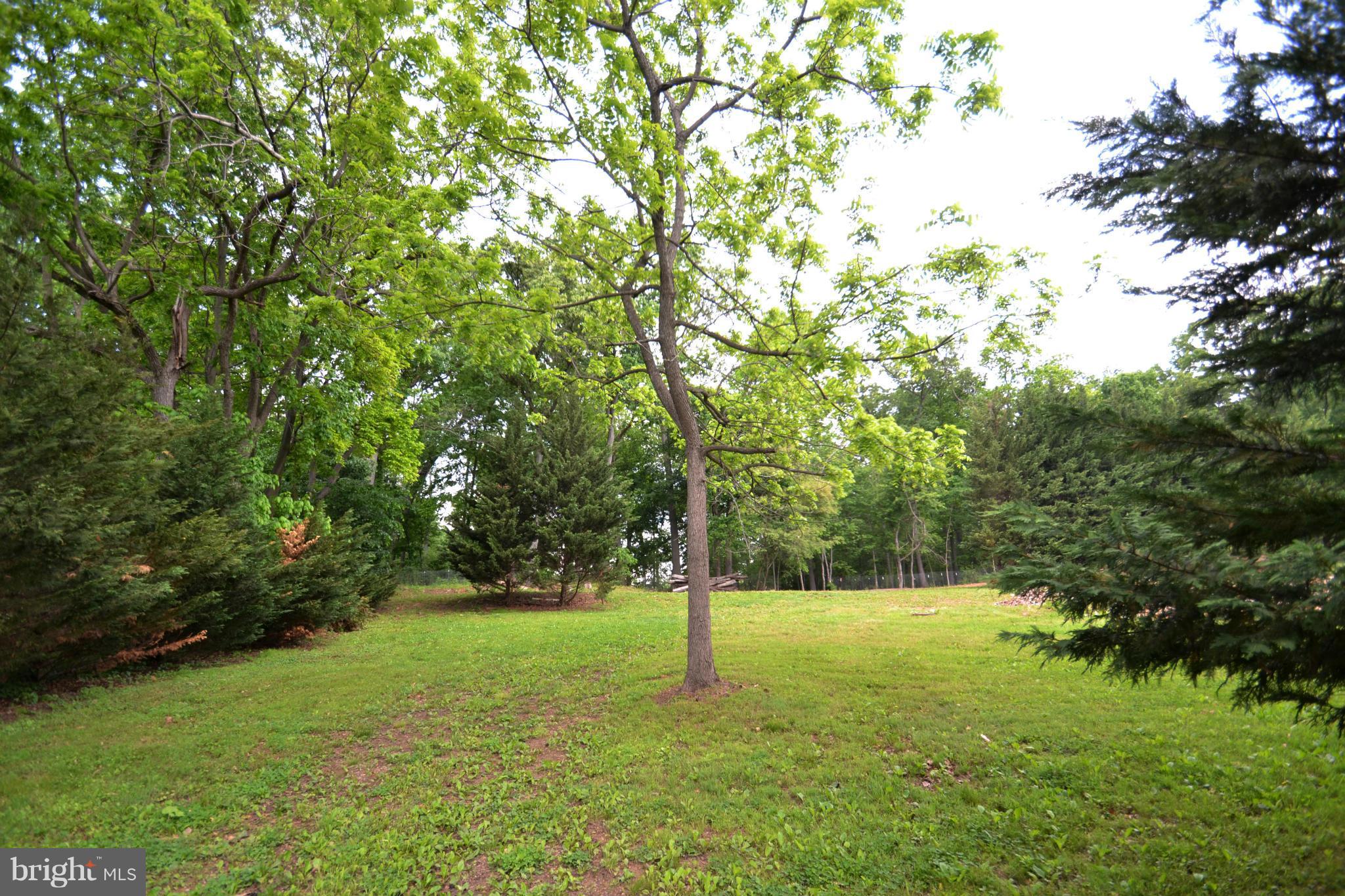 15300 Parrish Road Upperco, MD 21155 - Photo 5 of 30 a view of a field with a tree