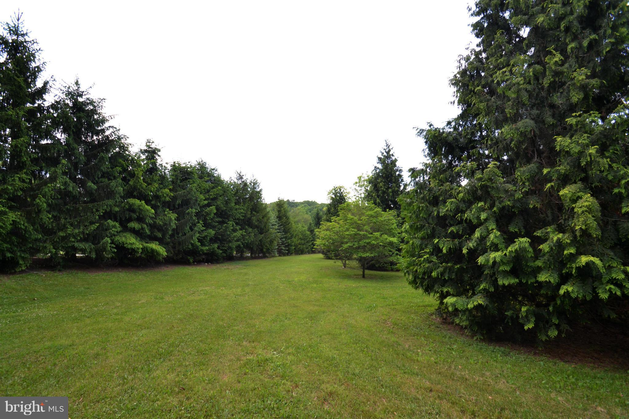 15300 Parrish Road Upperco, MD 21155 - Photo 6 of 30 a view of a green yard