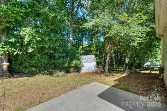 a view of a yard with plants and trees