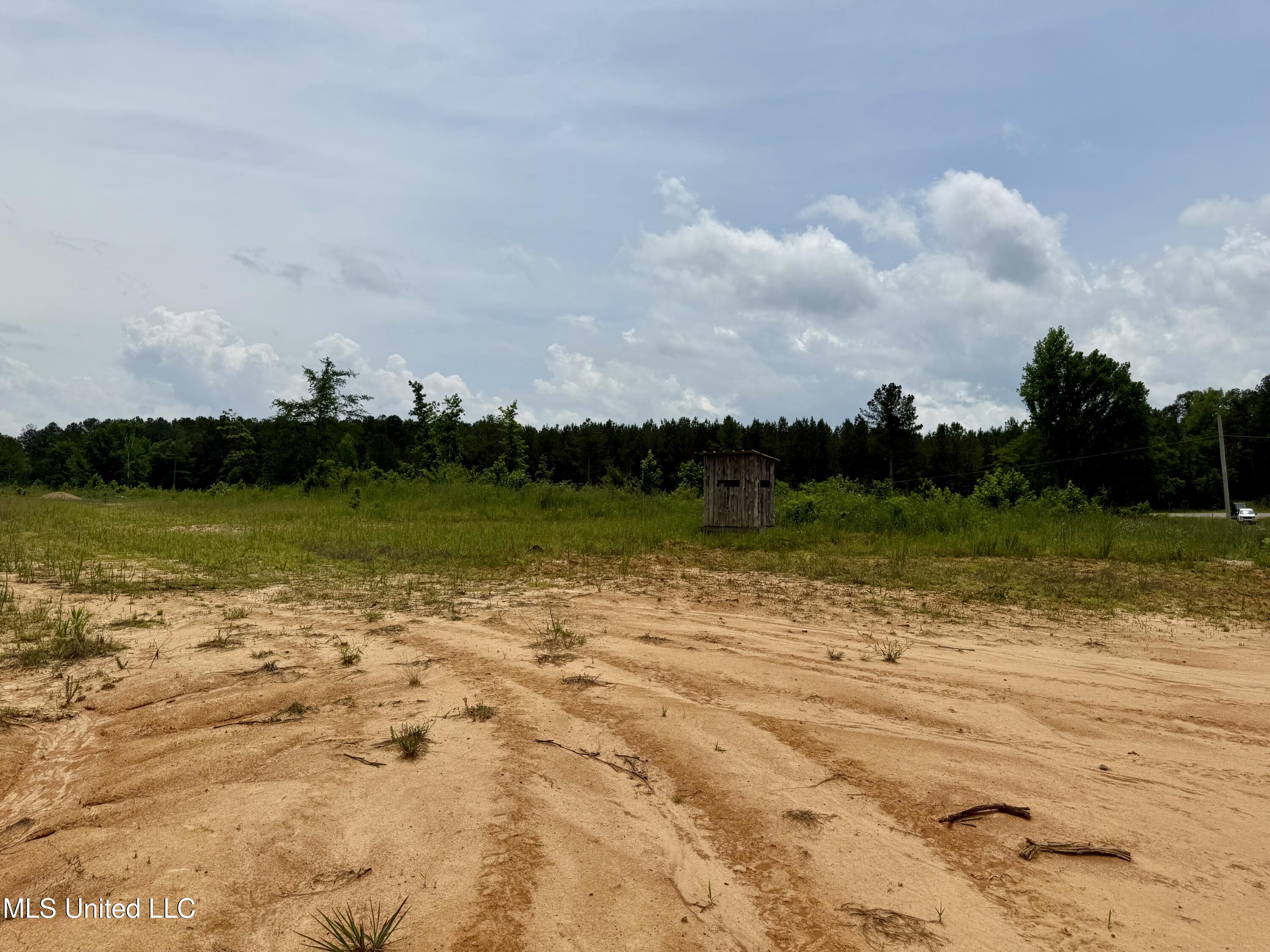 Rockport Rd Road McCool, MS 39108 - Photo 11 of 18 IMG_0966