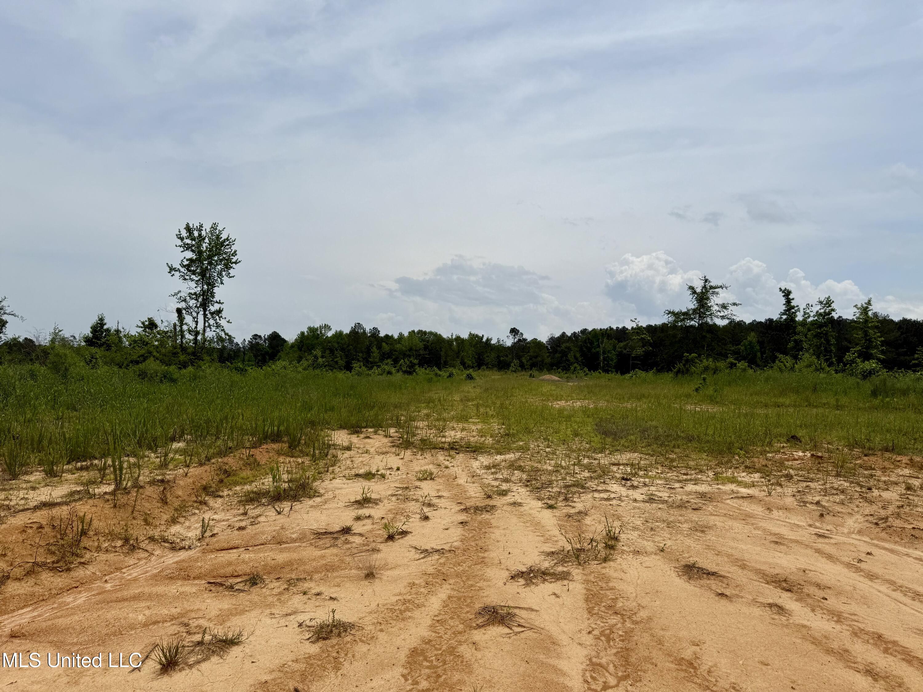 Rockport Rd Road McCool, MS 39108 - Photo 12 of 18 IMG_0967