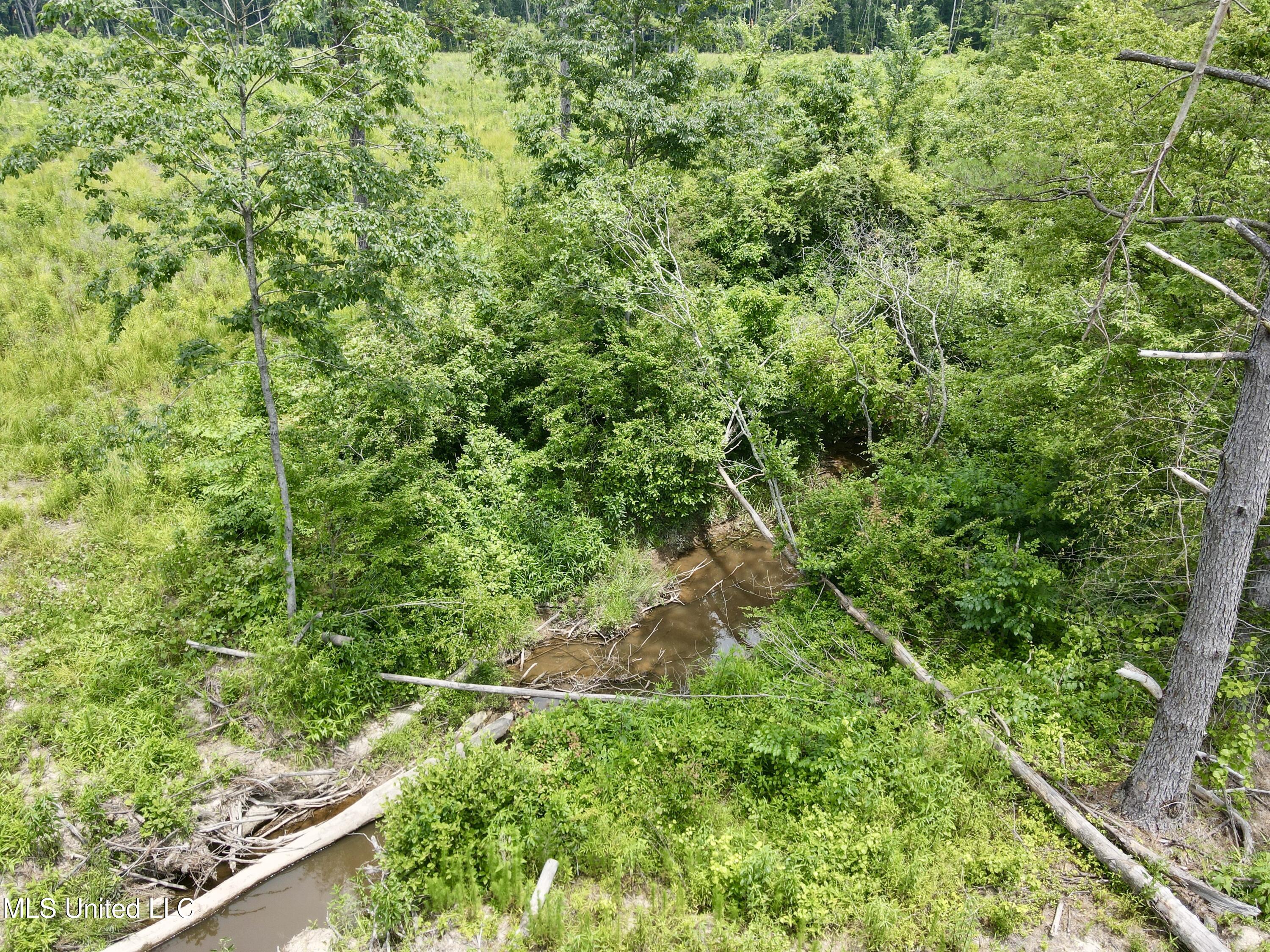 Rockport Rd Road McCool, MS 39108 - Photo 17 of 18 dji_fly_20250524_130422_359_174810993093