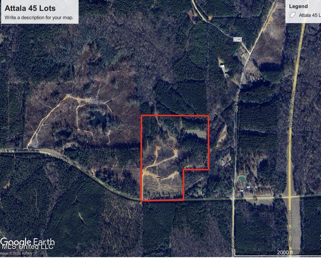 Rockport Rd Road McCool, MS 39108 - Photo 18 of 18 IMG_1007